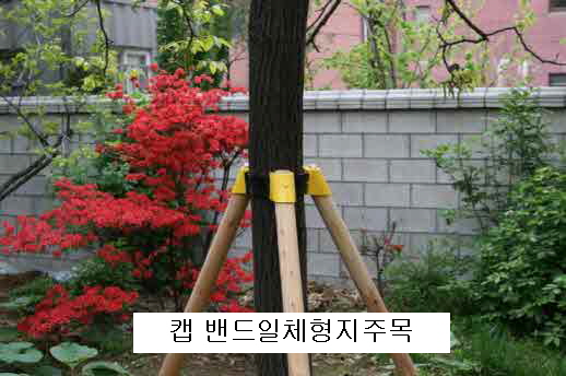 [꾸미기][크기변환]-170파이소나무설치.jpg